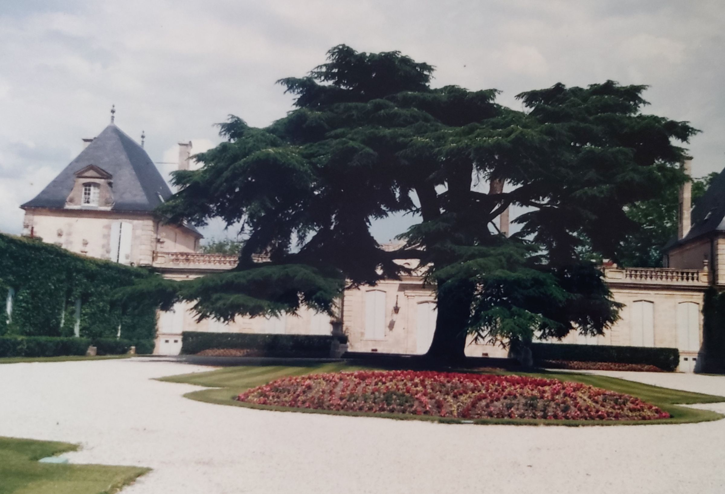 Bordaux