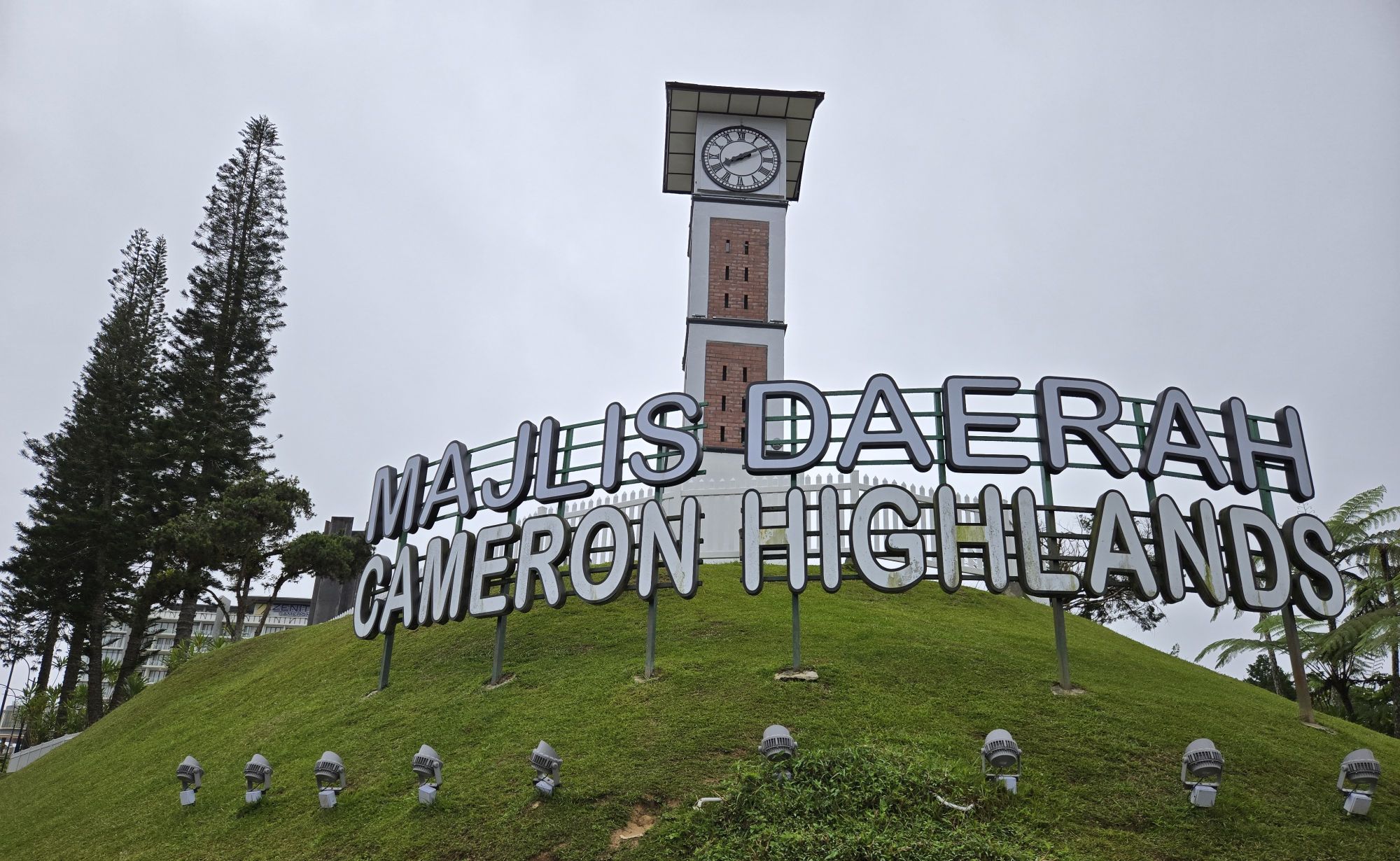 Cameron