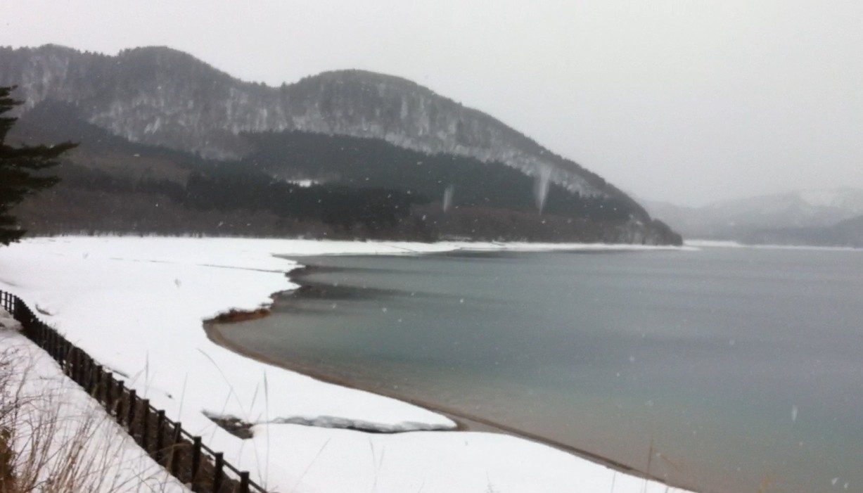 Akita