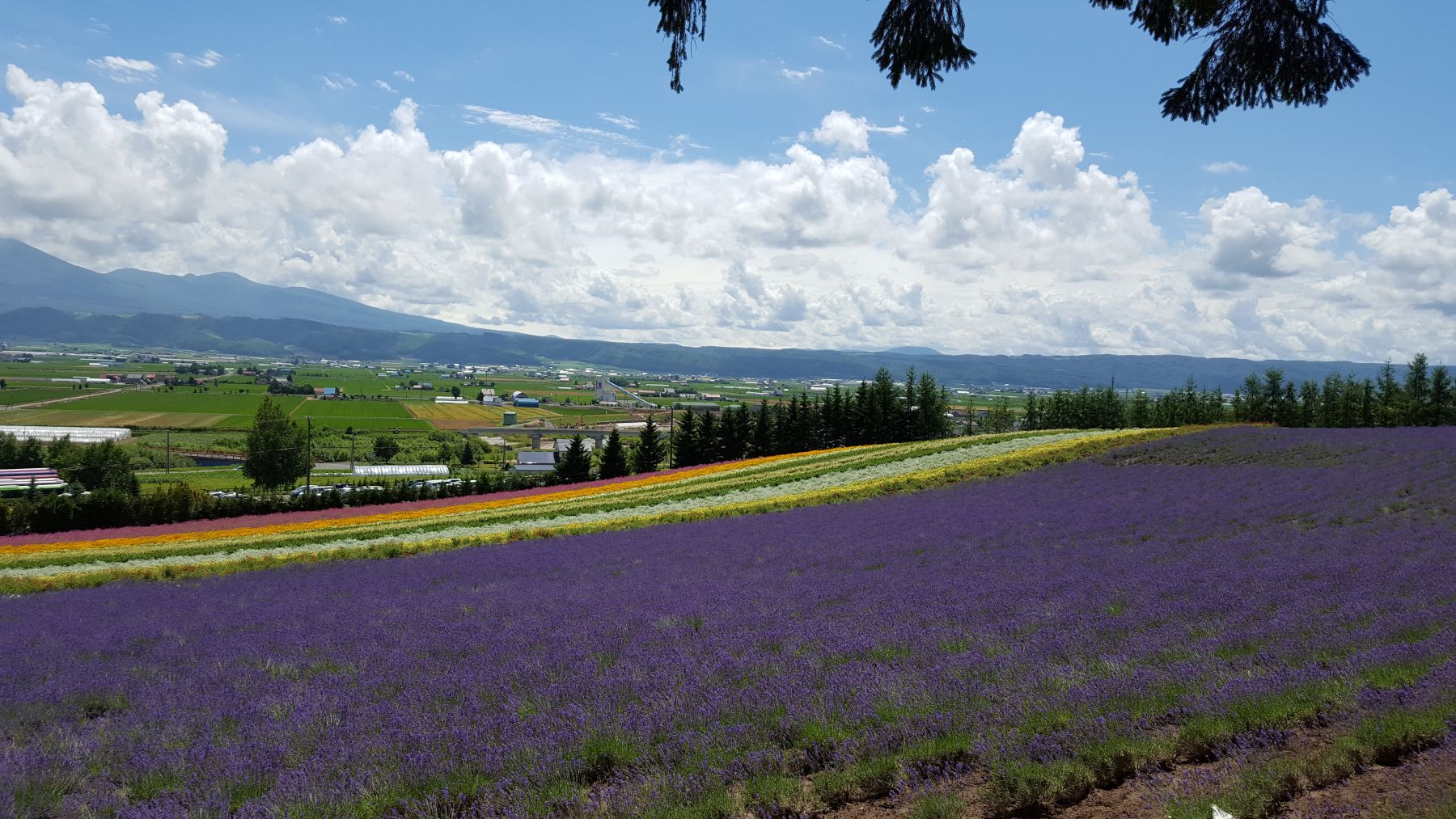 Furano