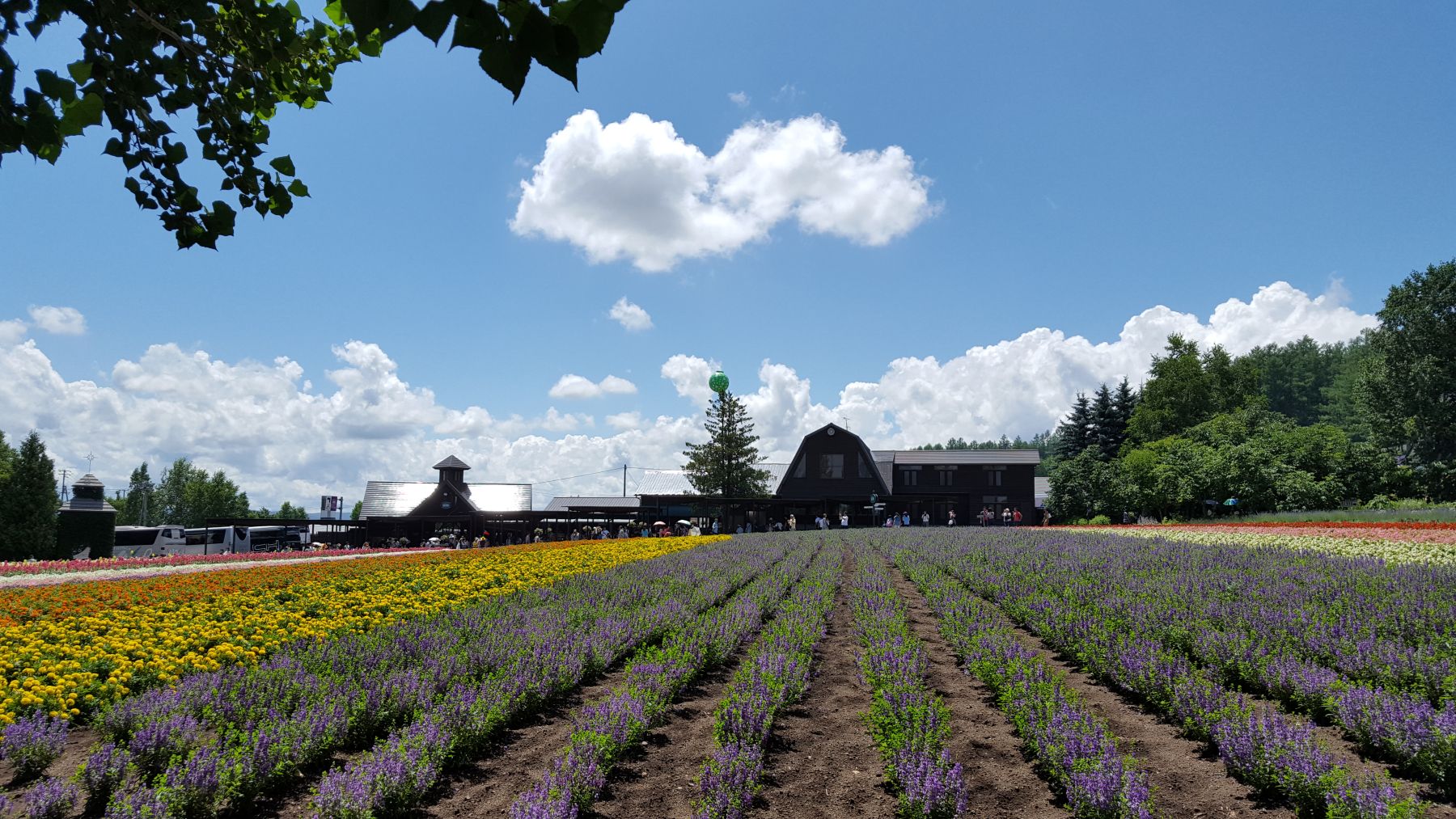 Furano