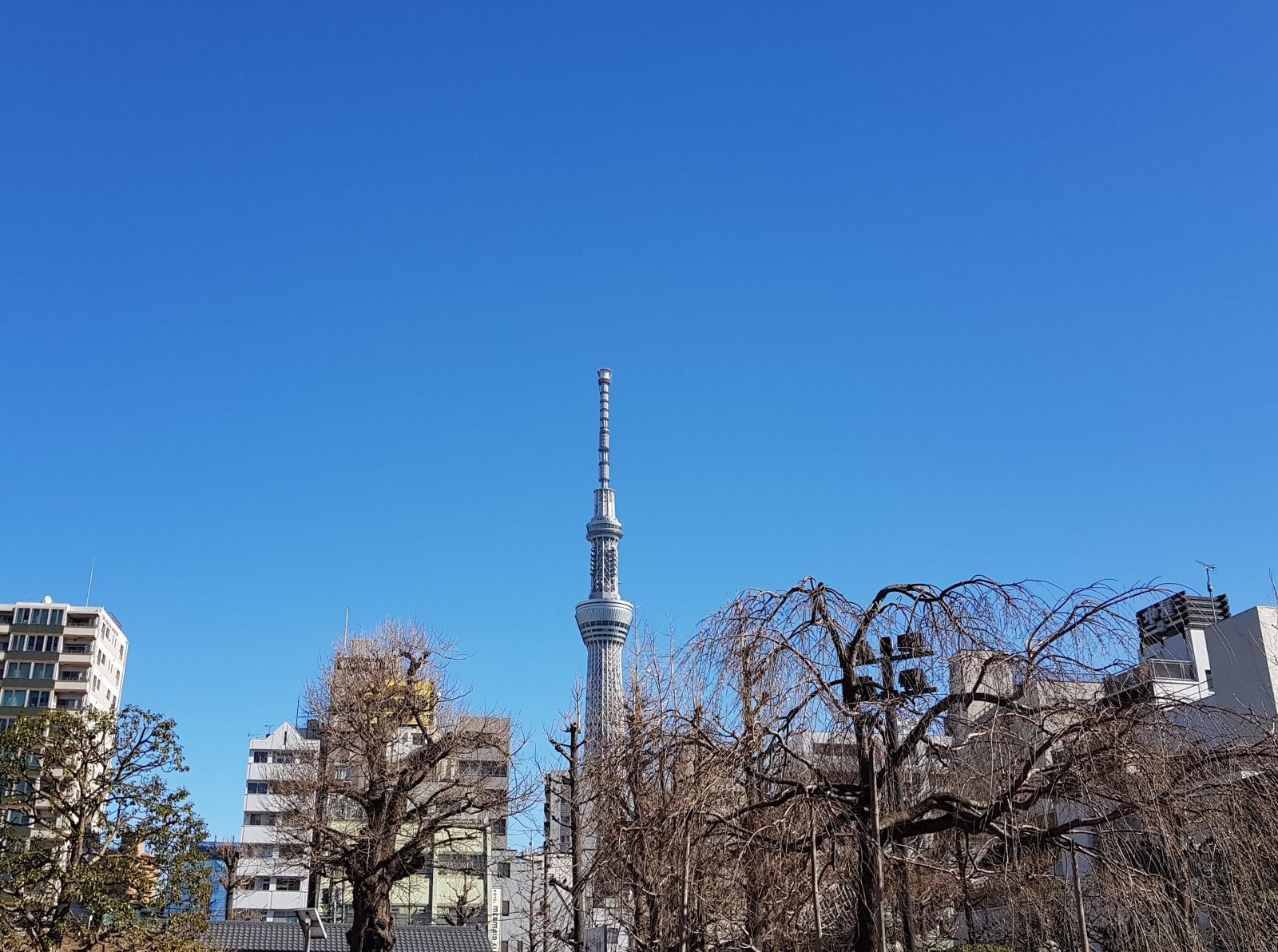 Tokyo