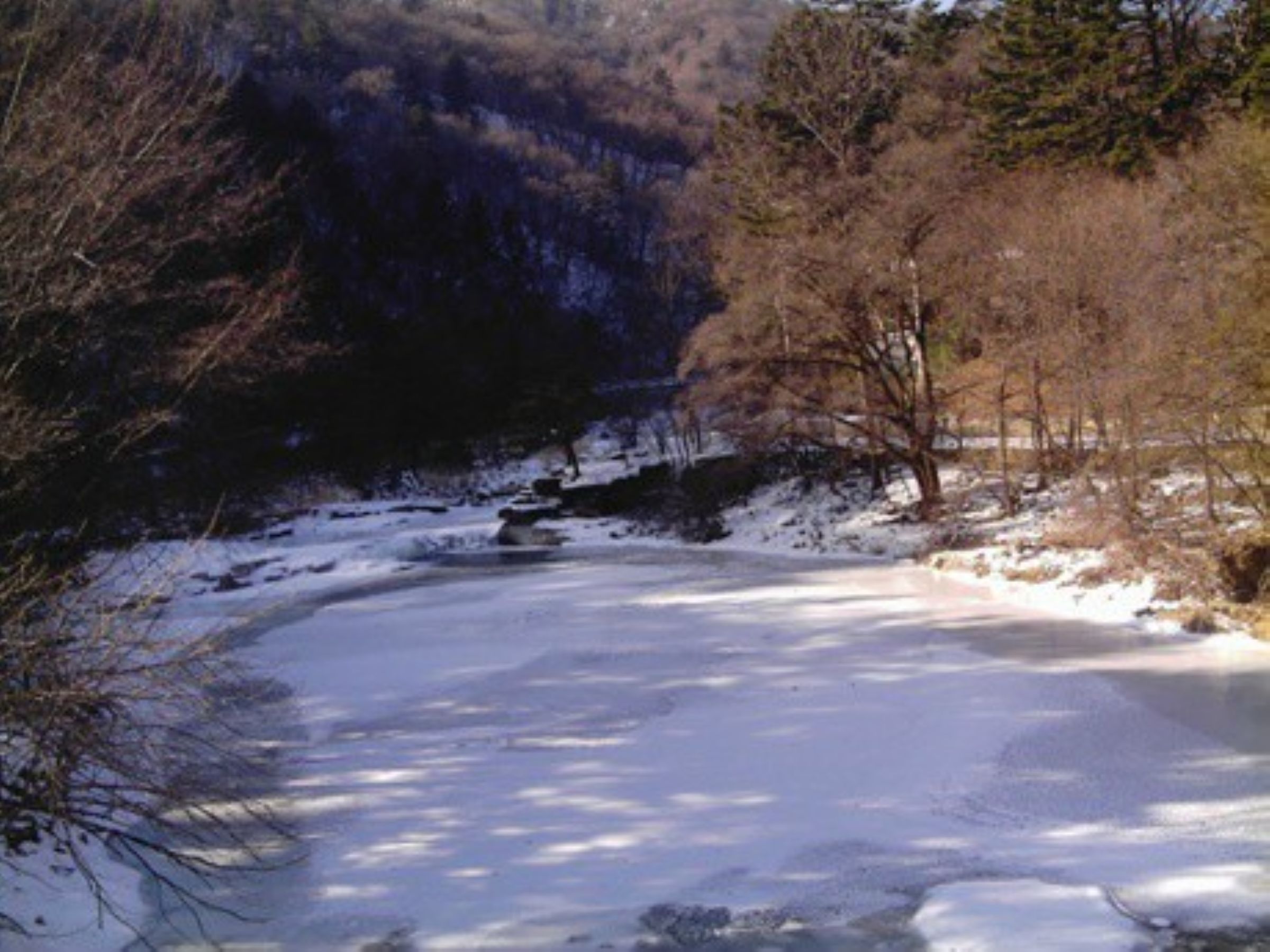 Jinbu
