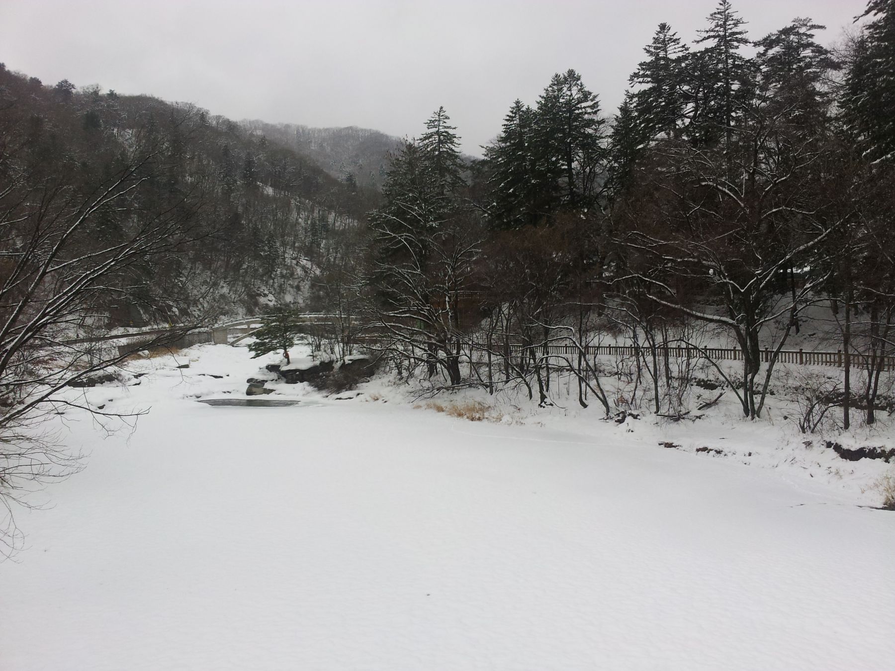 Jinbu