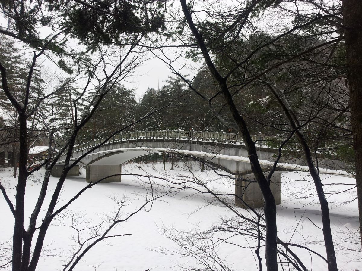 Jinbu